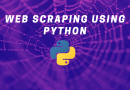 python web scraping sourcedexter