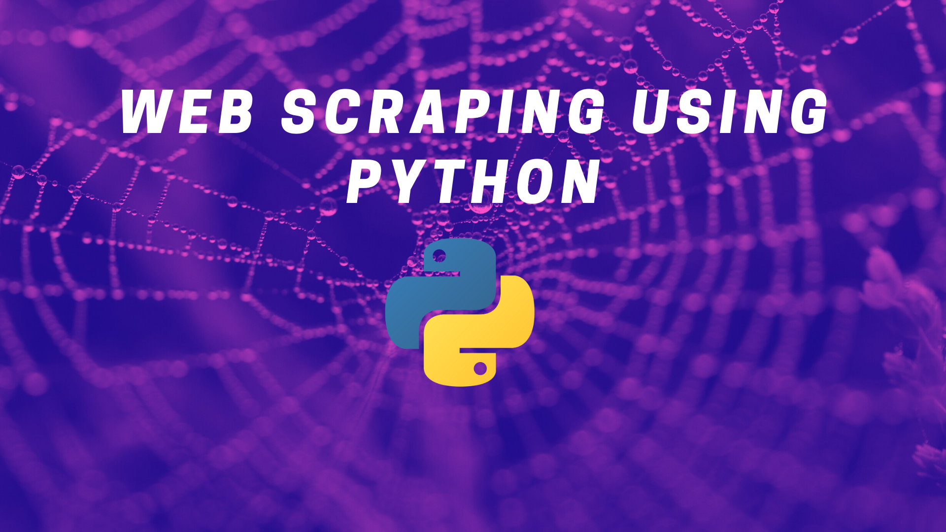 Python web scraping – Part 2